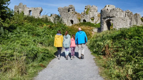 Summer-2023-Web-Banner-3