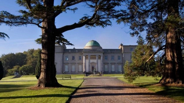 Emo Court