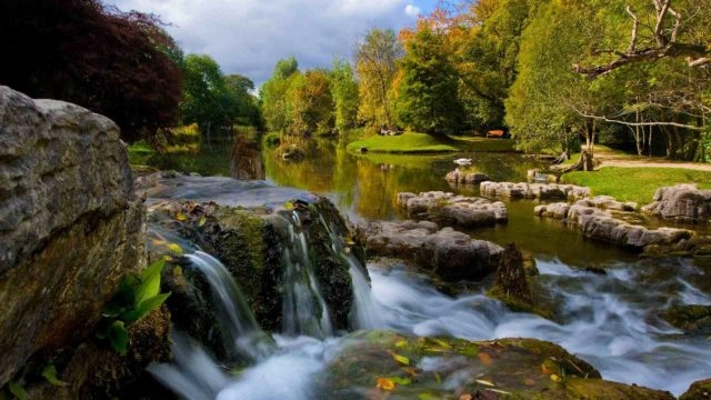 midlands-park-hotel-attractions-japenese-gardens