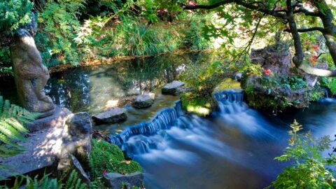 midlands-park-hotel-attractions-national-stud