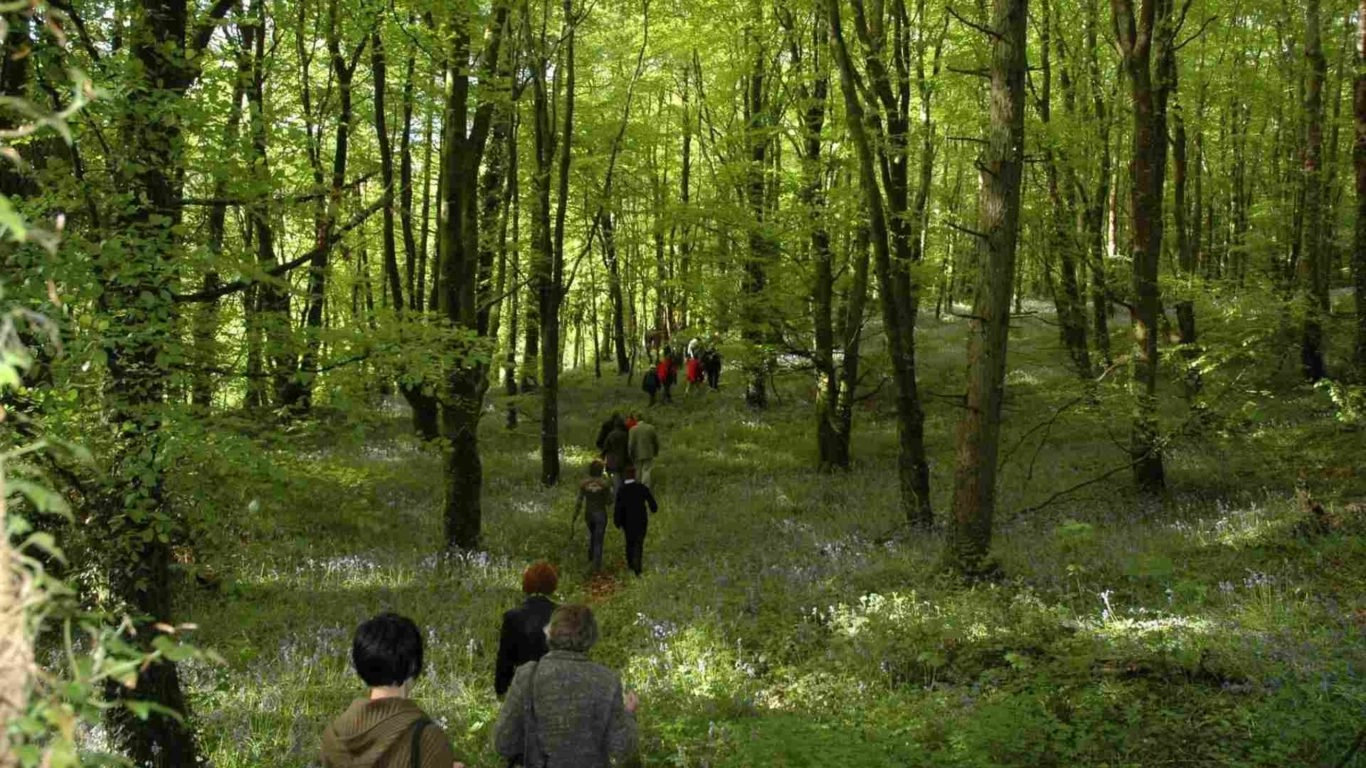midlands-park-hotel-slieve-bloom-mountains