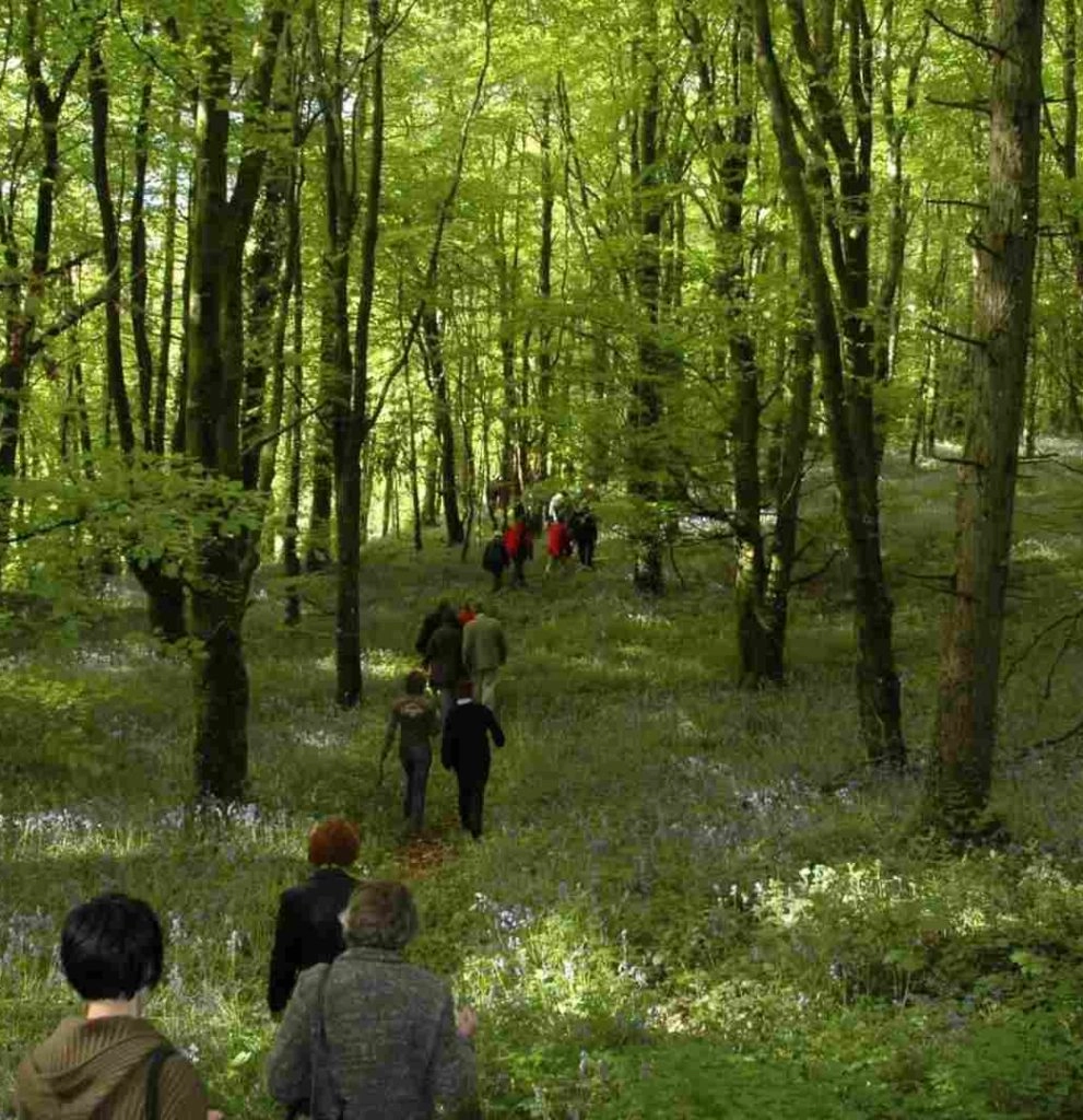 Visit Laois Things To Do in Laois Midlands Park Hotel