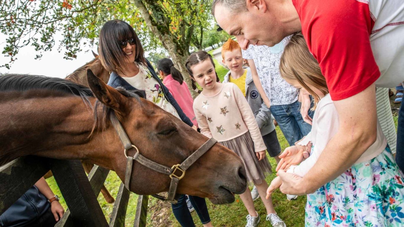 family-activites-midlands-park