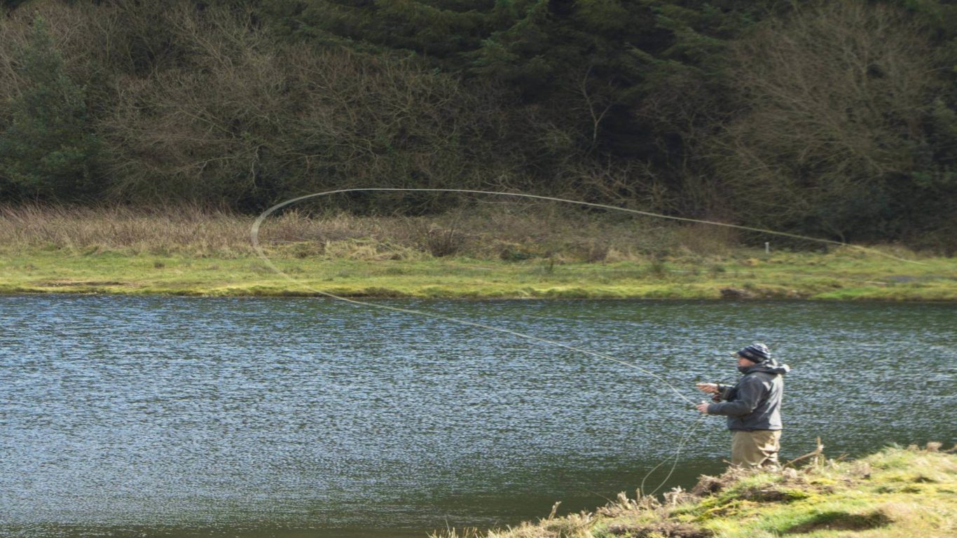 Midlands &ndash; Derryounce