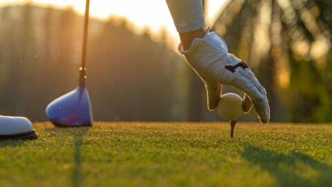 Untitled design (53)