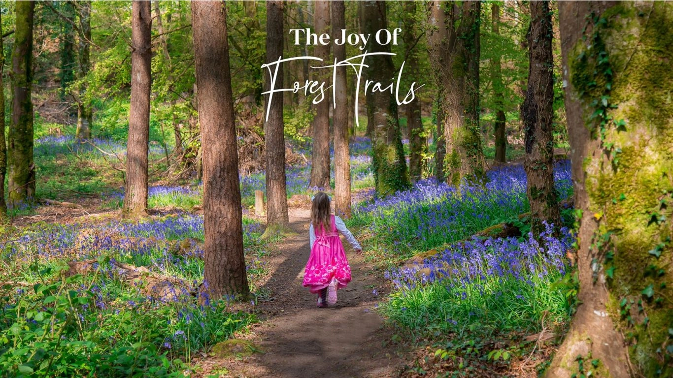 The Joy of Forest Trails