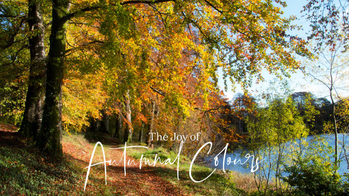 Autumn Breaks