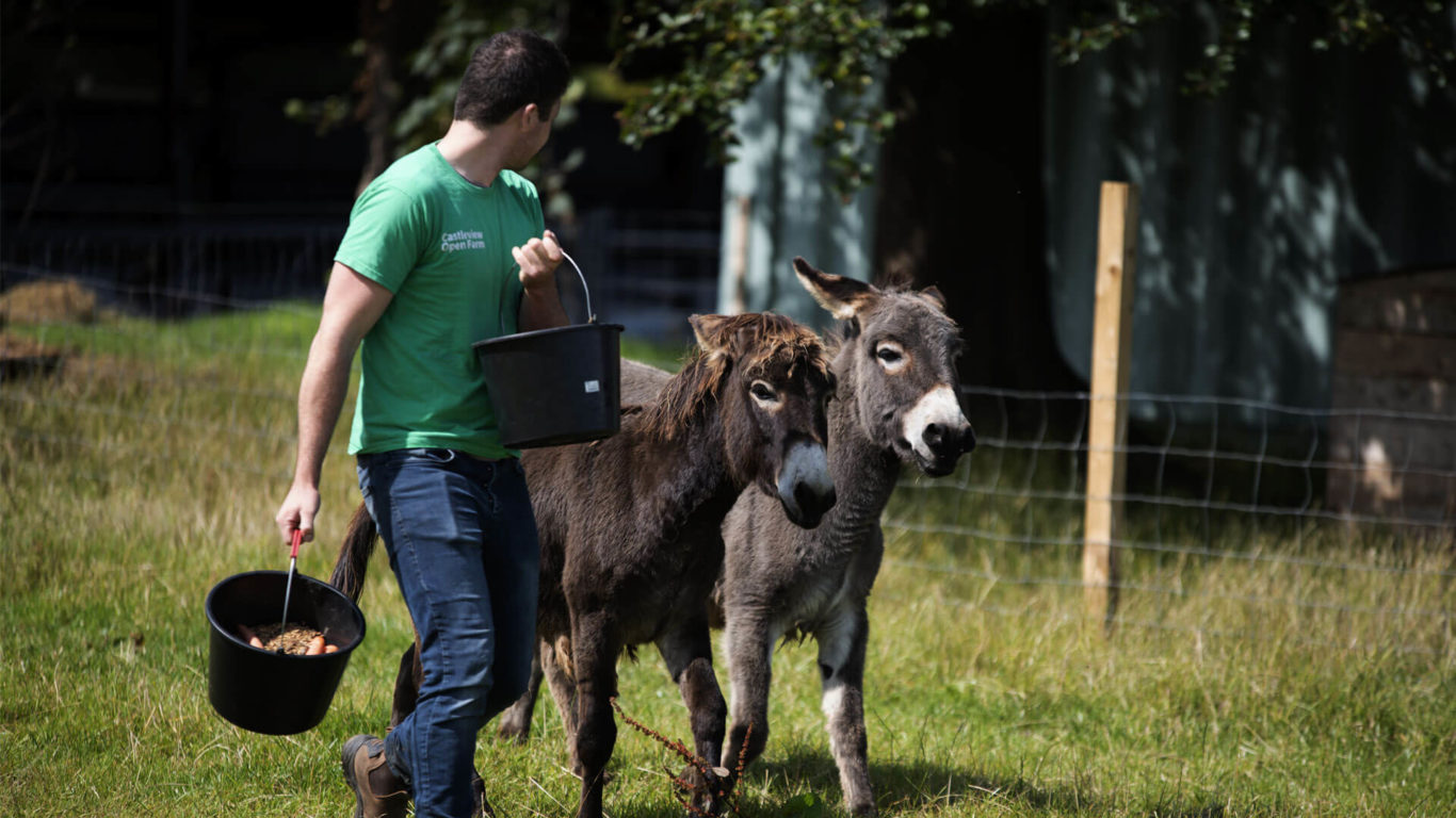 Midlands-Castleview-2