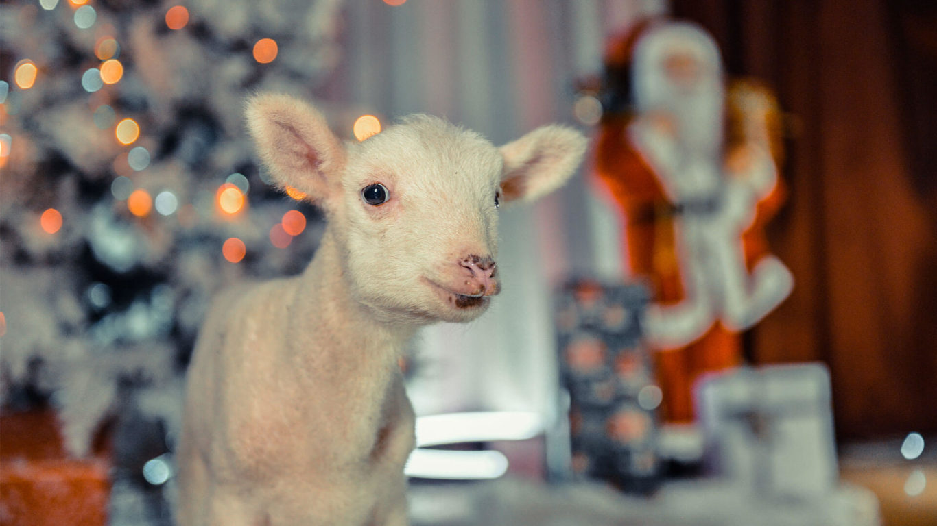 Midlands-Castleview-3