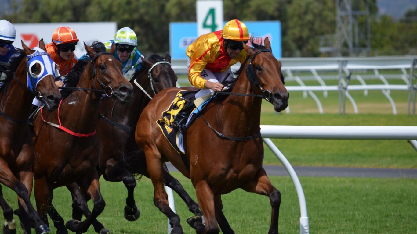 Horse Racing Stock