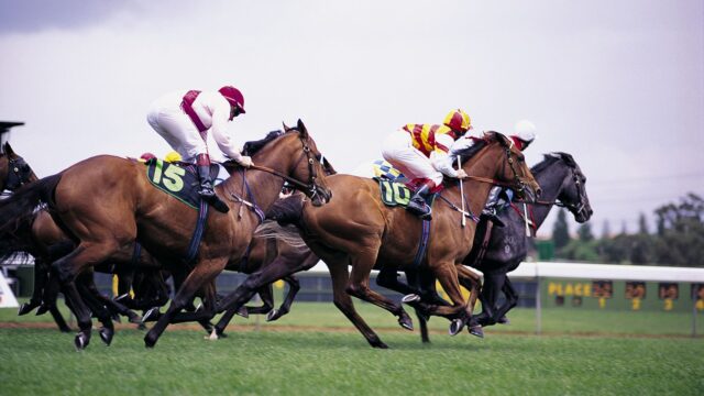 Horse Racing Stock 9