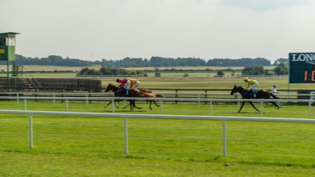 The Curragh Racecourse 5