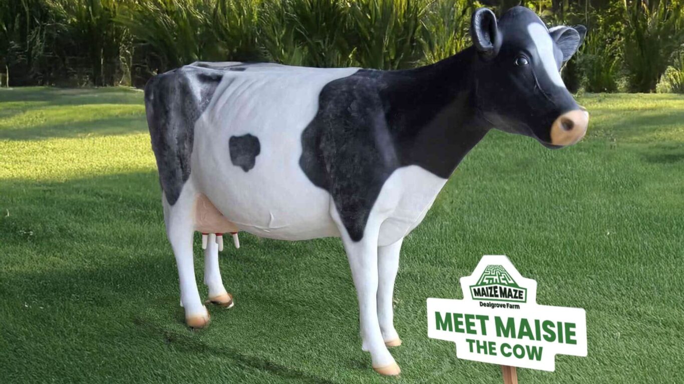 Midlands Park Hotel Maize Maze Laois