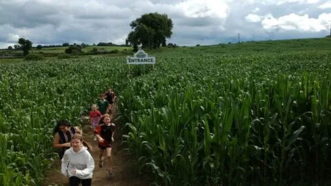 Midlands Park Maize Maze Laois
