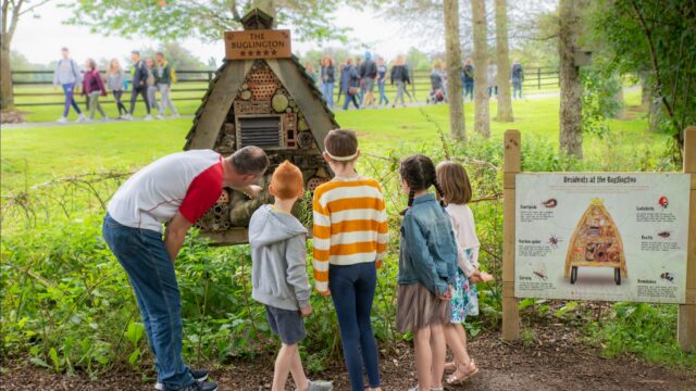 Lullymore Family Fun