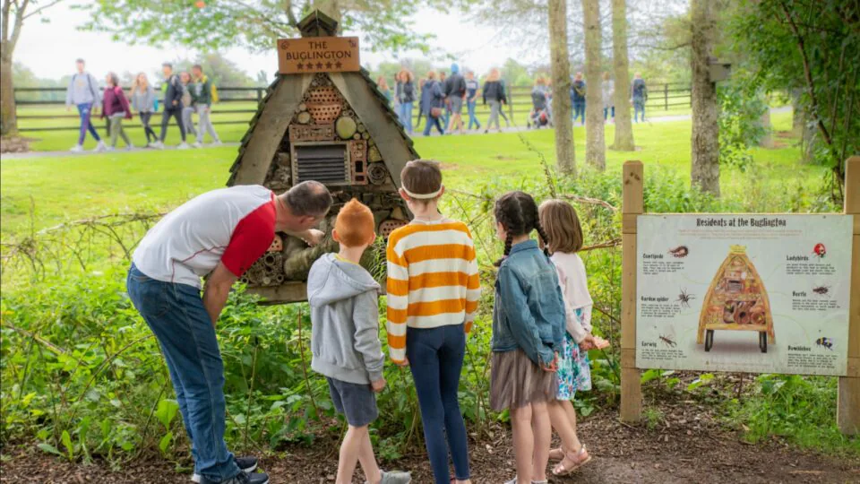 Lullymore Family Fun